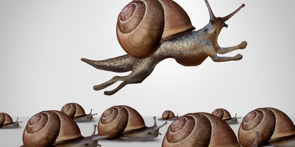 schneckensprung